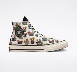 Converse Chuck 70 Succulents Höga Sneakers Svarta | CV-123ASG