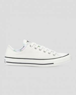 Converse Chuck Taylor All Star Festival Låga Sneakers Beige | CV-891ORQ