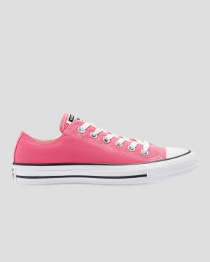 Converse Chuck Taylor All Star Seasonal Colour Låga Sneakers Rosa | CV-540RFI