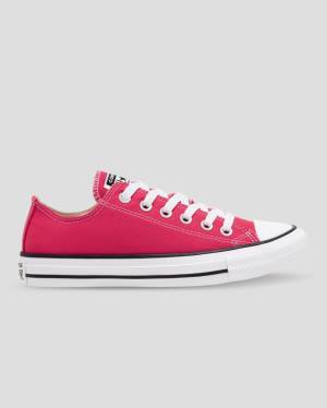 Converse Chuck Taylor All Star Seasonal Colour Låga Sneakers Rosa | CV-683PZY