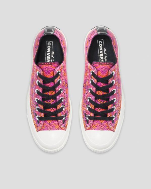 Converse Chuck 70 Läder Printed Låga Sneakers Rosa Orange | CV-089YLW