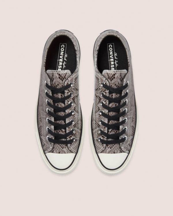 Converse Chuck 70 Reptile Mocka Låga Sneakers Grå | CV-260UHV