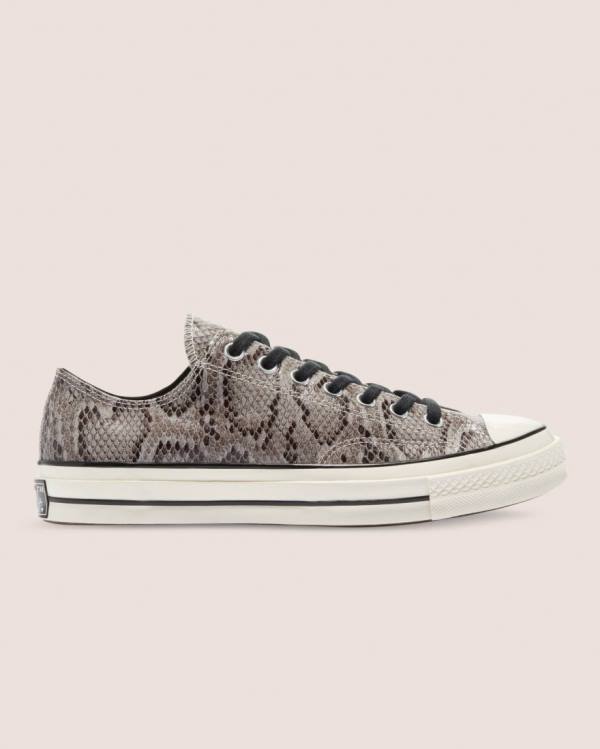 Converse Chuck 70 Reptile Mocka Låga Sneakers Grå | CV-260UHV