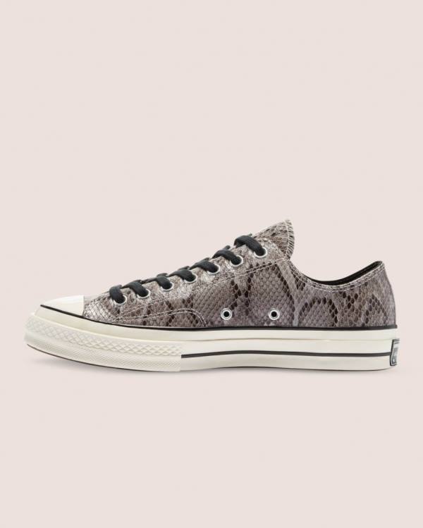 Converse Chuck 70 Reptile Mocka Låga Sneakers Grå | CV-790LPZ