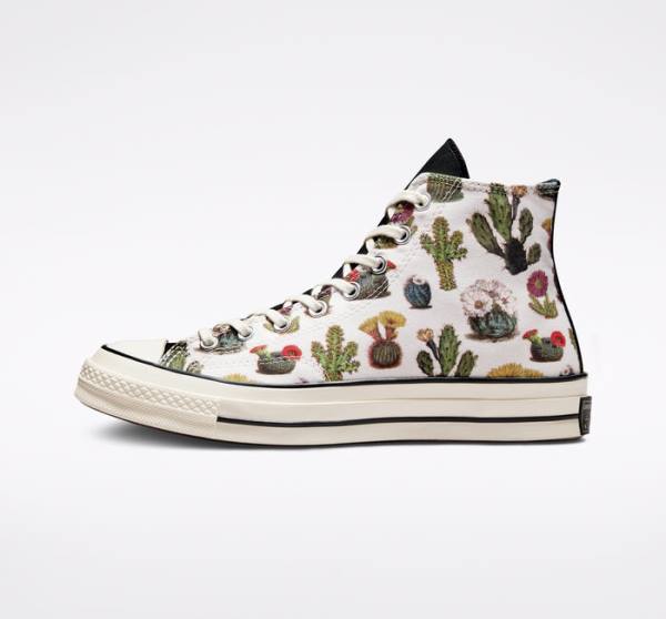 Converse Chuck 70 Succulents Höga Sneakers Svarta | CV-123ASG