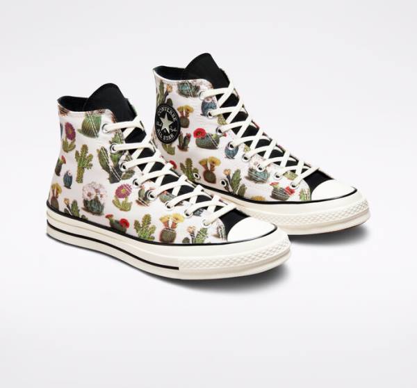 Converse Chuck 70 Succulents Höga Sneakers Svarta | CV-123ASG