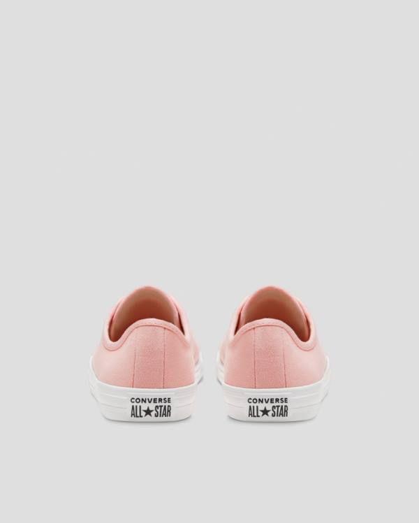 Converse Chuck Taylor All Star Dainty Seasonal Colour Låga Sneakers Rosa | CV-719VMH