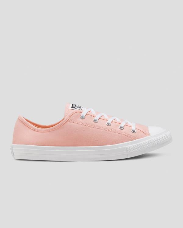 Converse Chuck Taylor All Star Dainty Seasonal Colour Låga Sneakers Rosa | CV-719VMH