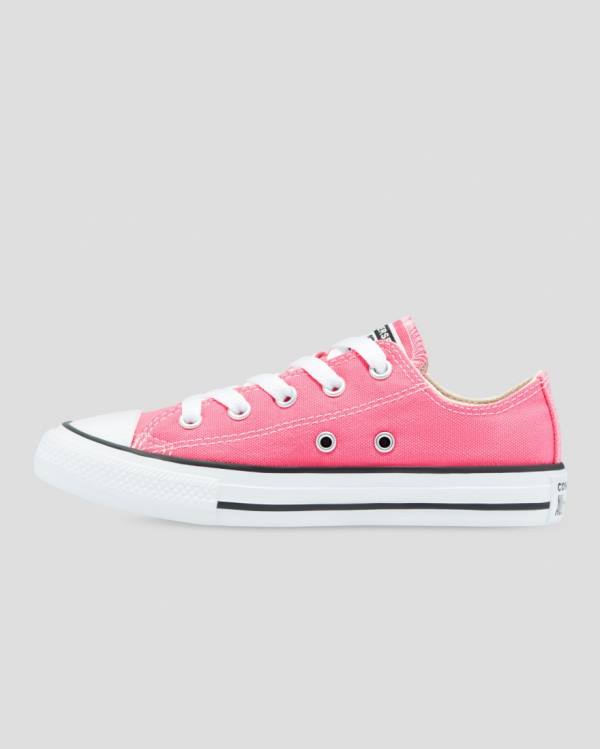 Converse Chuck Taylor All Star Seasonal Colour Låga Sneakers Rosa | CV-153XQW