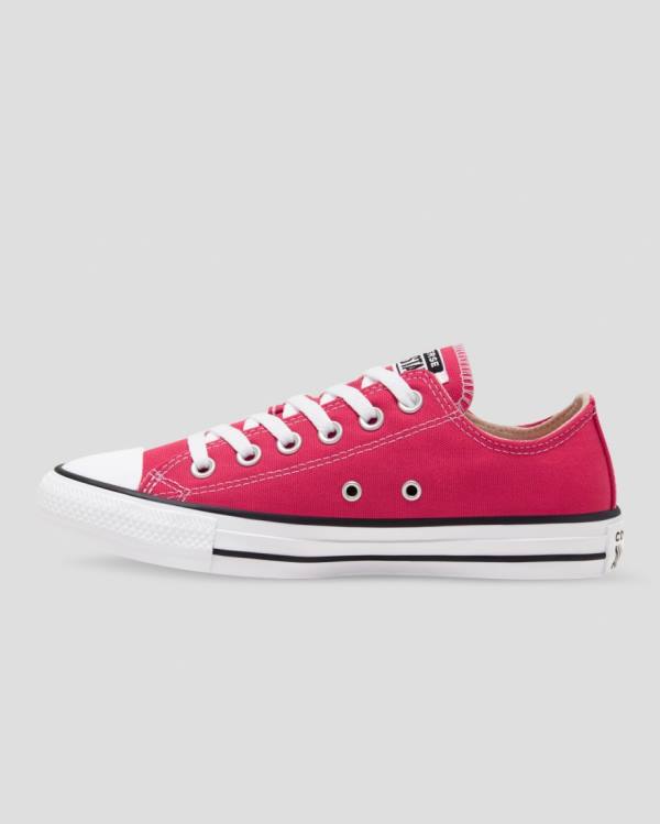 Converse Chuck Taylor All Star Seasonal Colour Låga Sneakers Rosa | CV-328FUQ