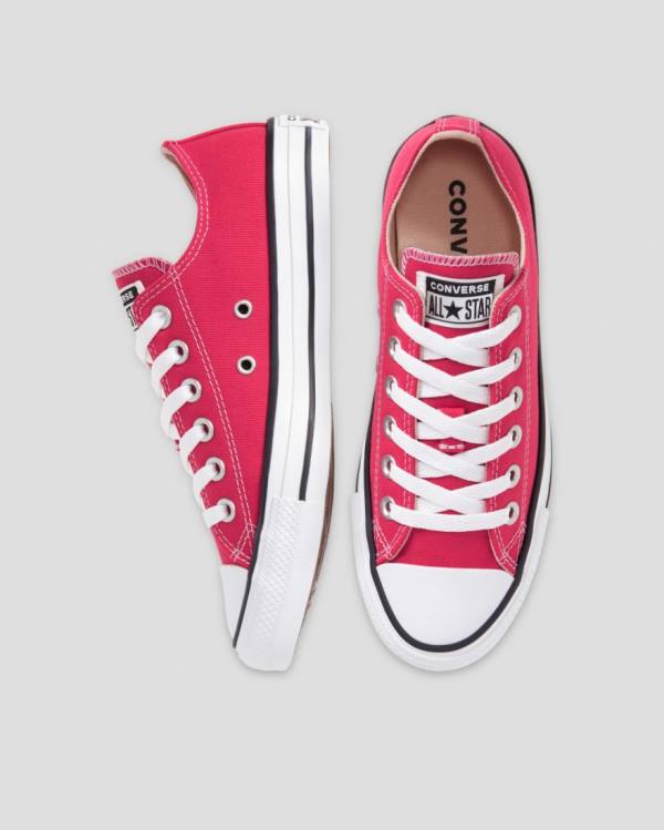 Converse Chuck Taylor All Star Seasonal Colour Låga Sneakers Rosa | CV-328FUQ