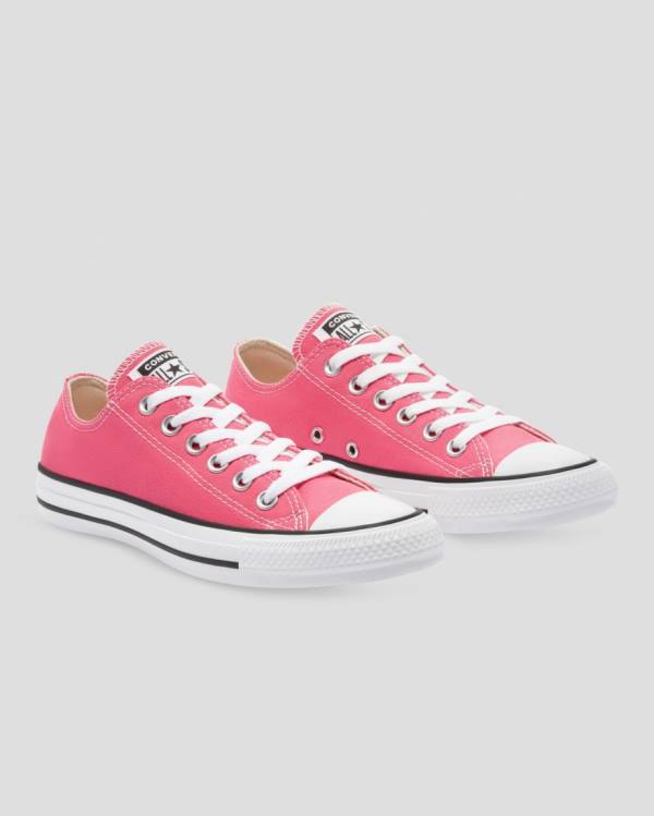 Converse Chuck Taylor All Star Seasonal Colour Låga Sneakers Rosa | CV-540RFI