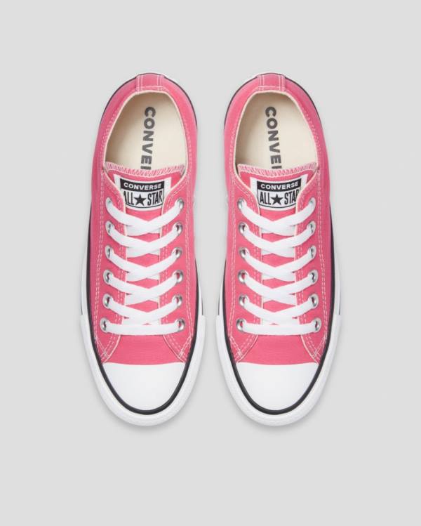 Converse Chuck Taylor All Star Seasonal Colour Låga Sneakers Rosa | CV-540RFI