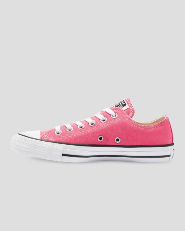 Converse Chuck Taylor All Star Seasonal Colour Låga Sneakers Rosa | CV-713FNW