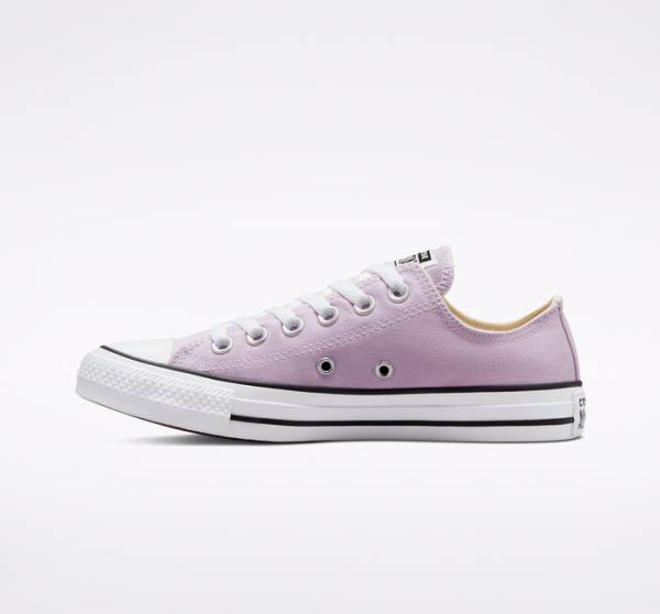 Converse Chuck Taylor All Star Seasonal Color Låga Sneakers Lavendel | CV-794UEB