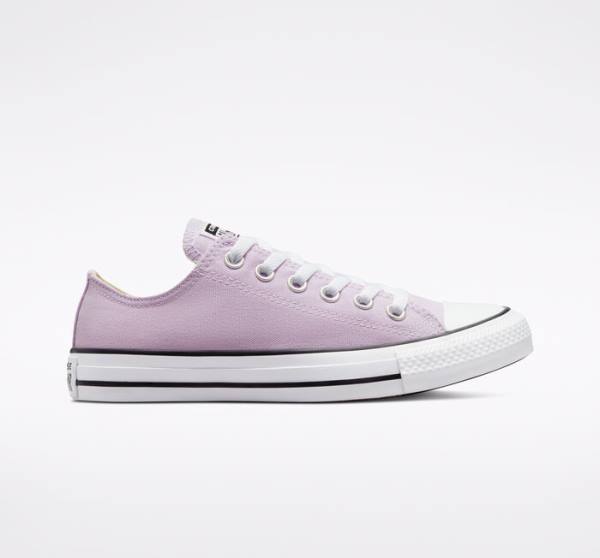 Converse Chuck Taylor All Star Seasonal Color Låga Sneakers Lavendel | CV-794UEB